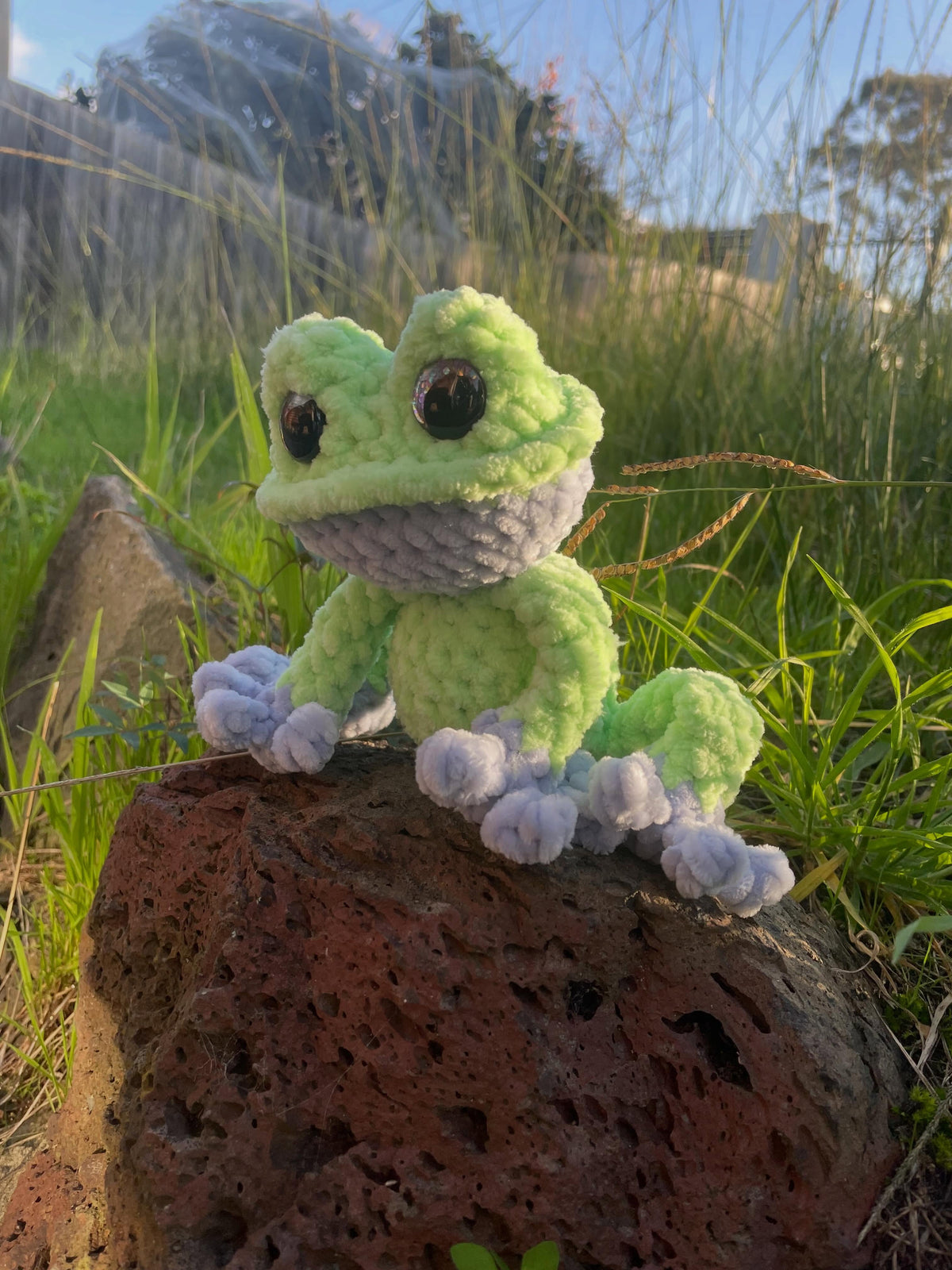Pond & Lake Creatures