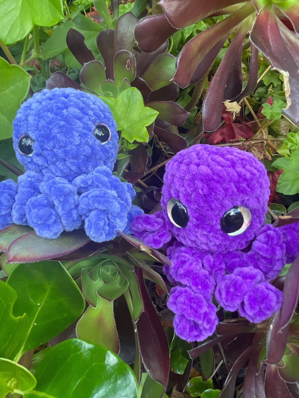 Sea Creatures & Ocean Adventures