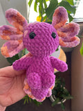 Axolotl