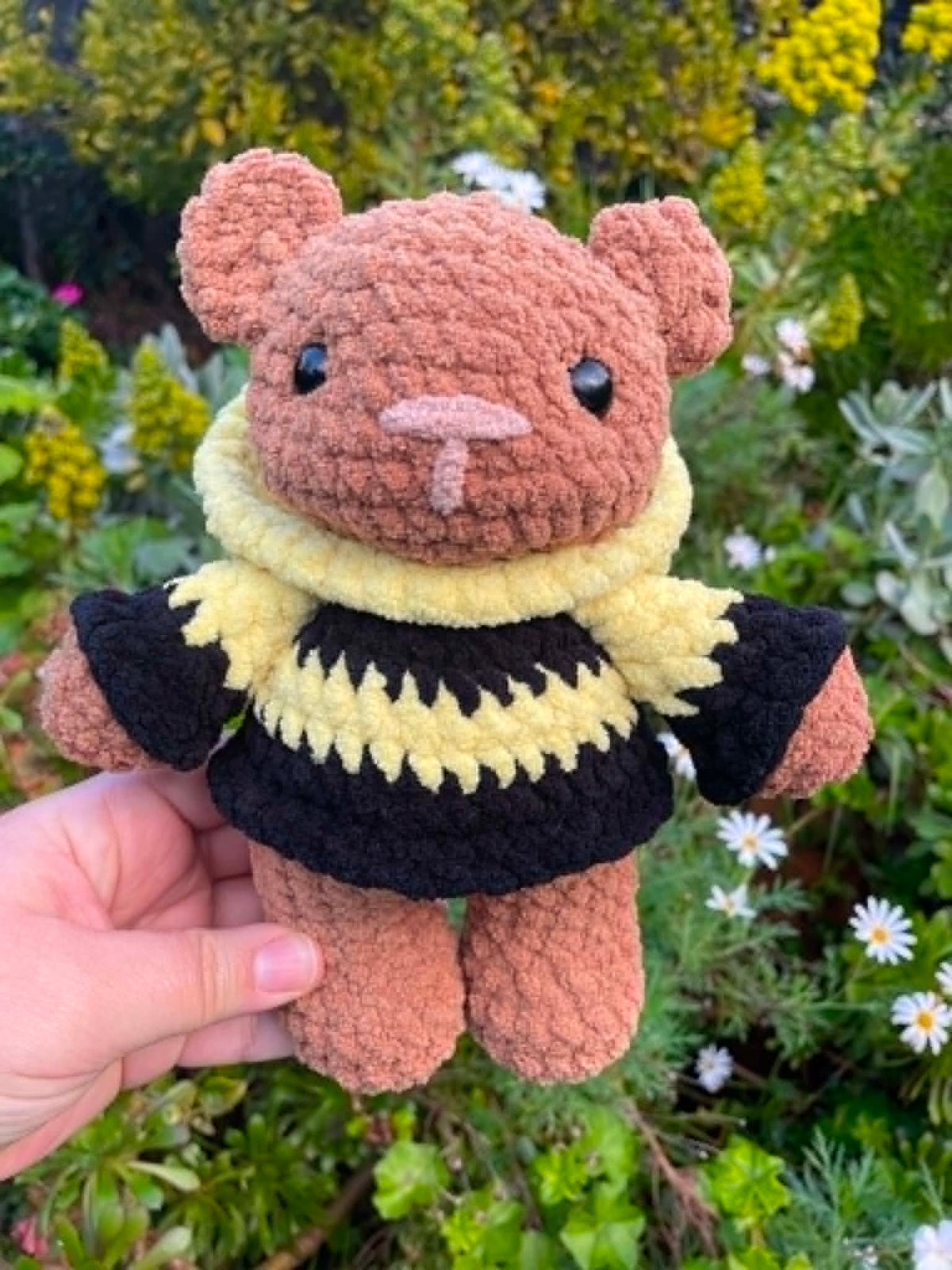 Hoodie Bear