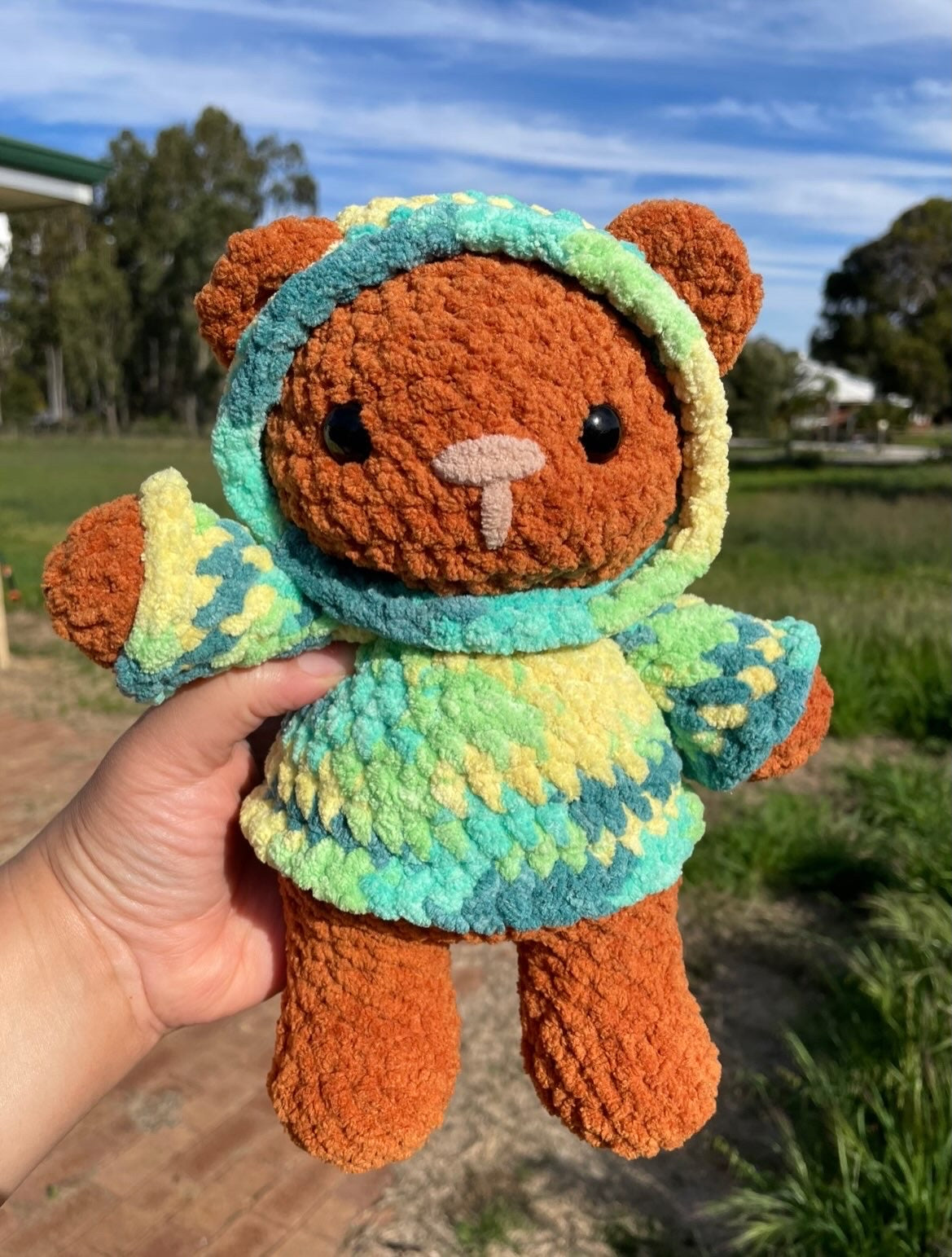 Hoodie Bear