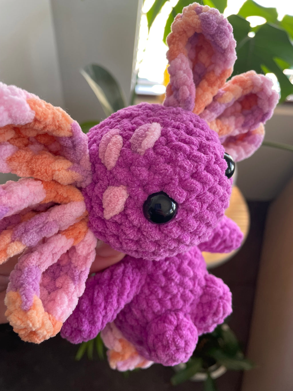 Axolotl