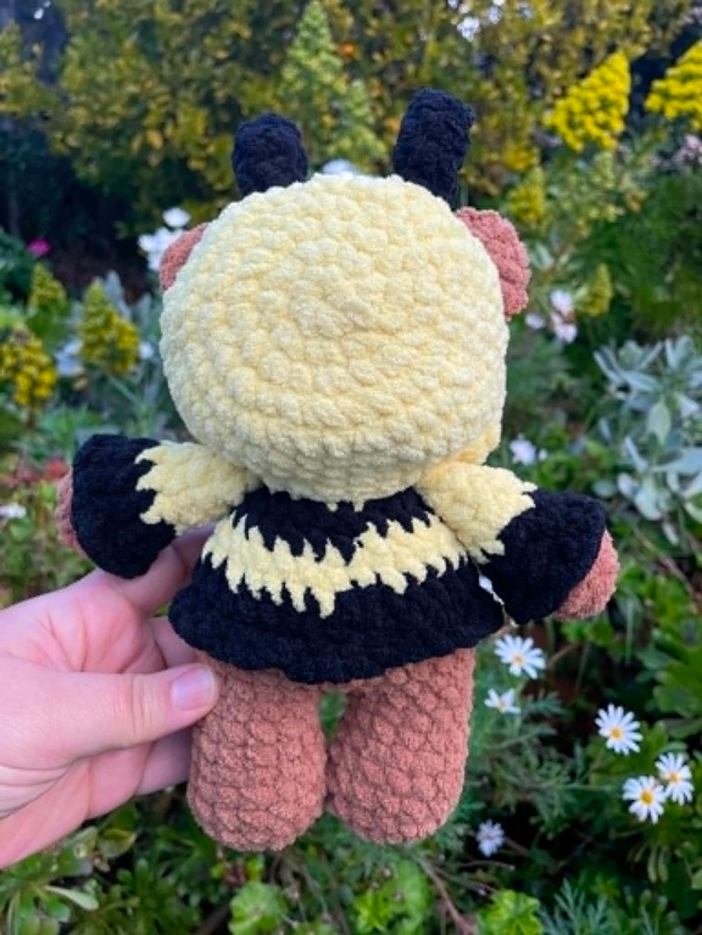 Hoodie Bear