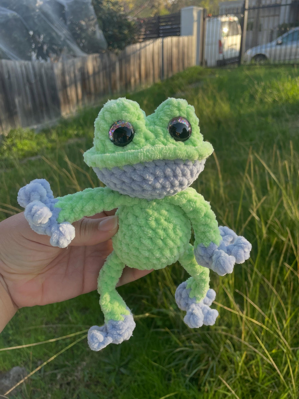 Baby Frog