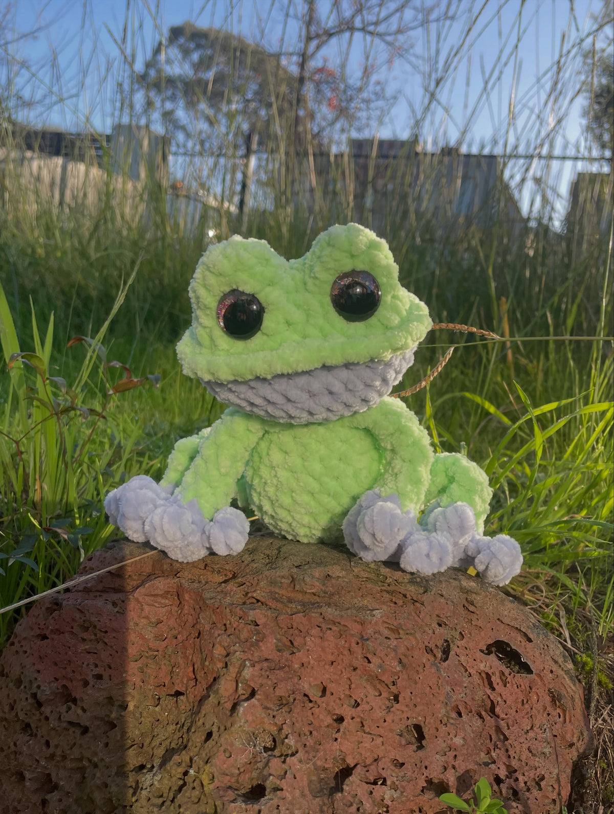 Baby Frog