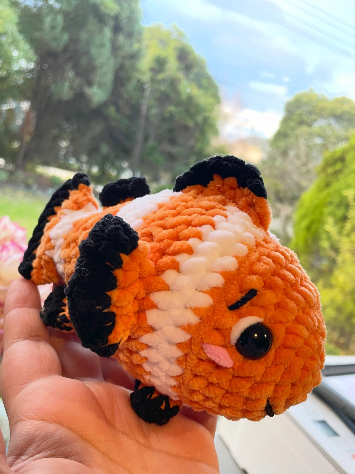 Clownfish