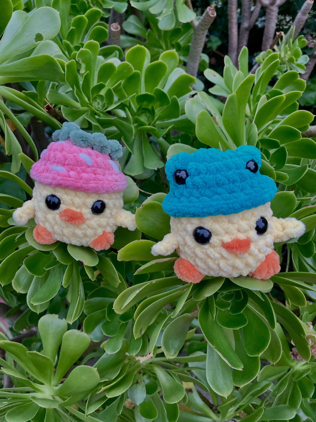 Chicks in Hats