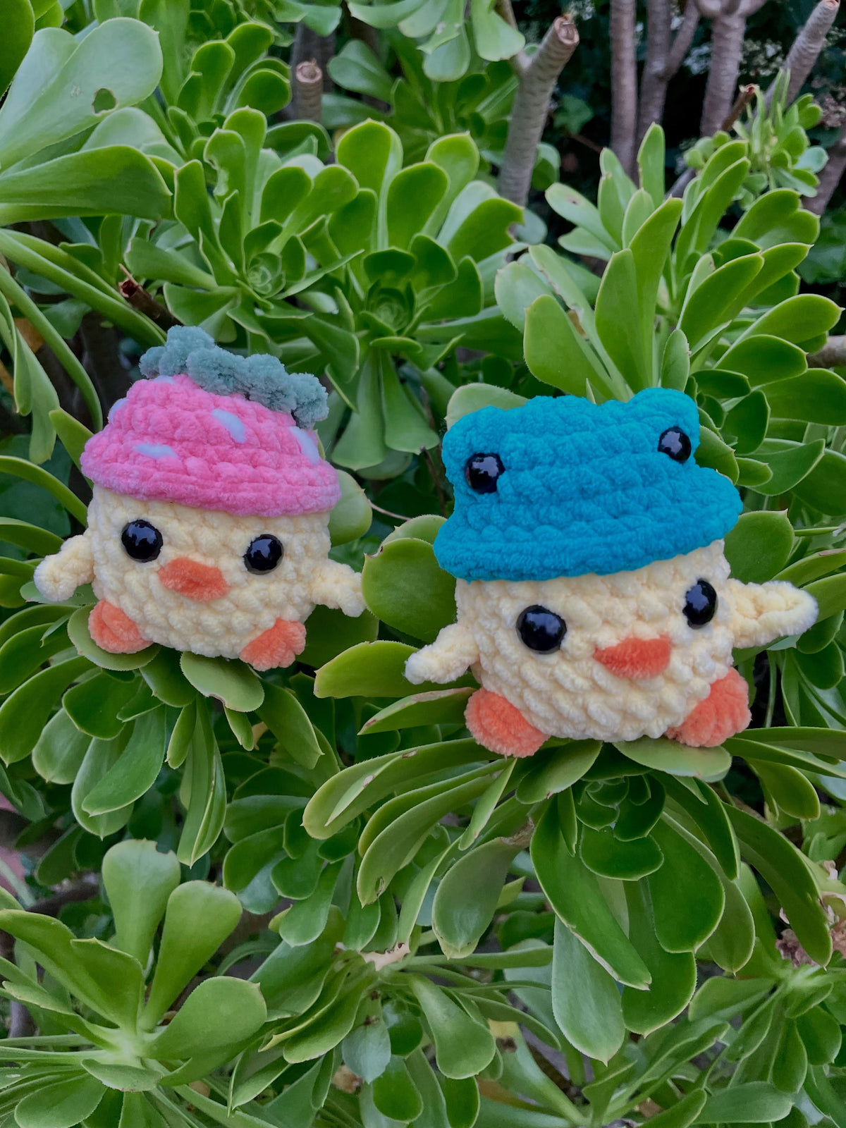 Chicks in Hats