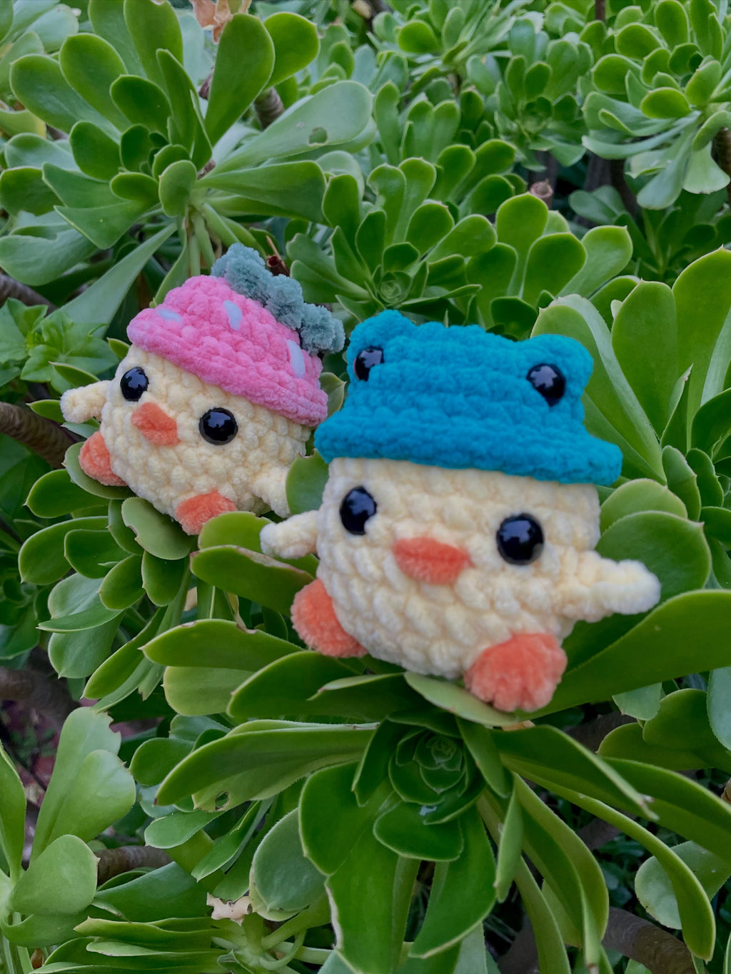 Chicks in Hats
