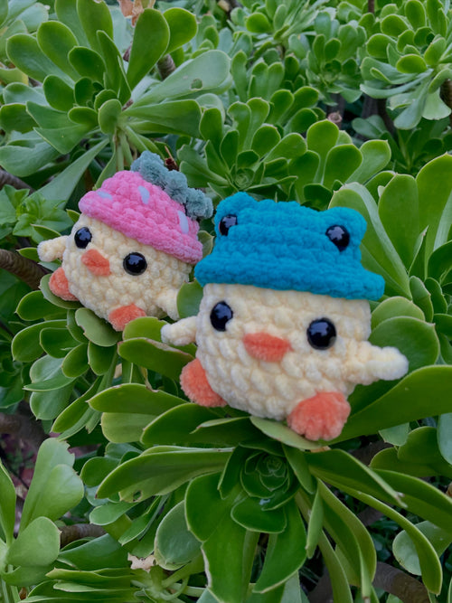 Chicks in Hats