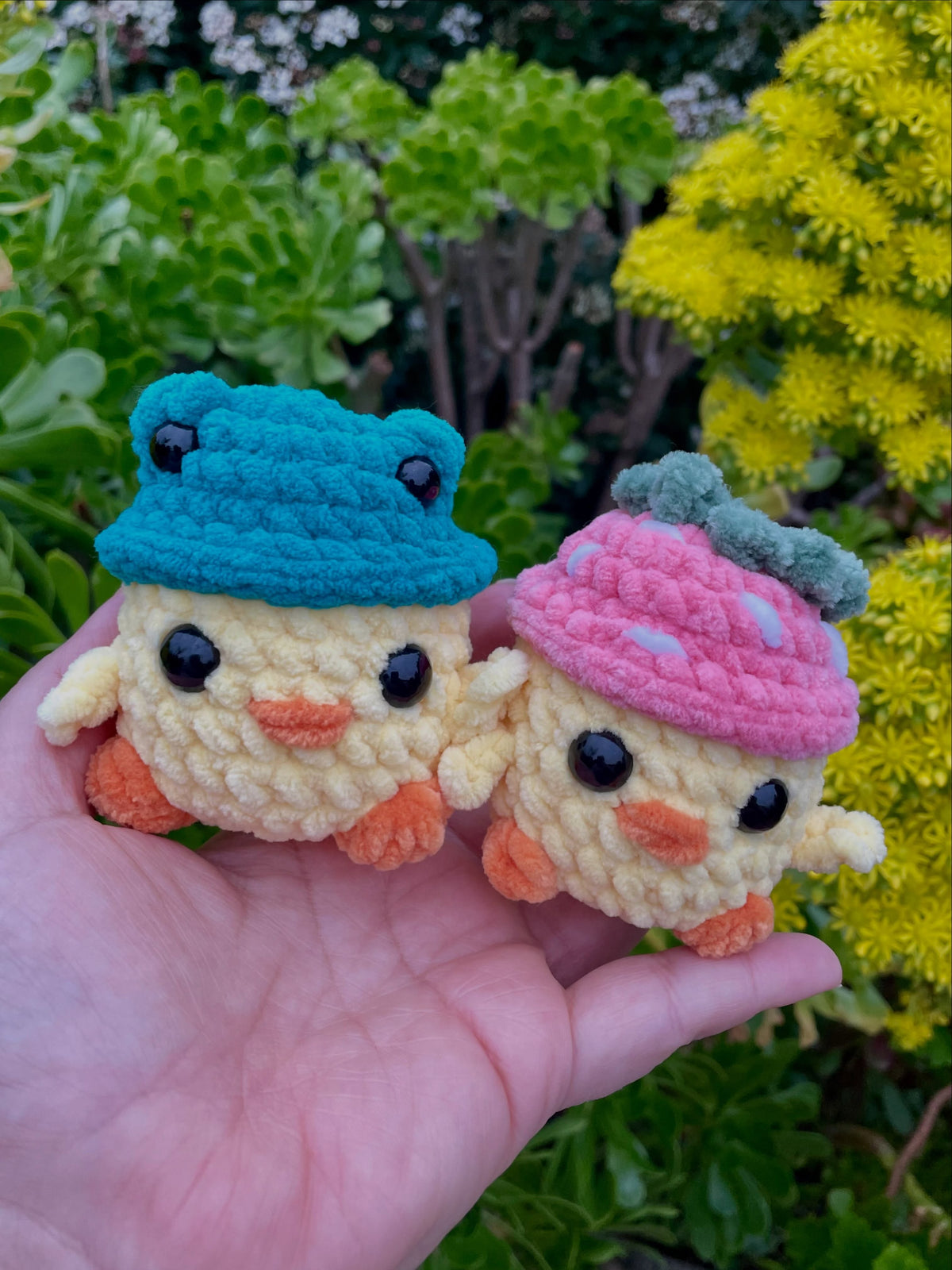 Chicks in Hats