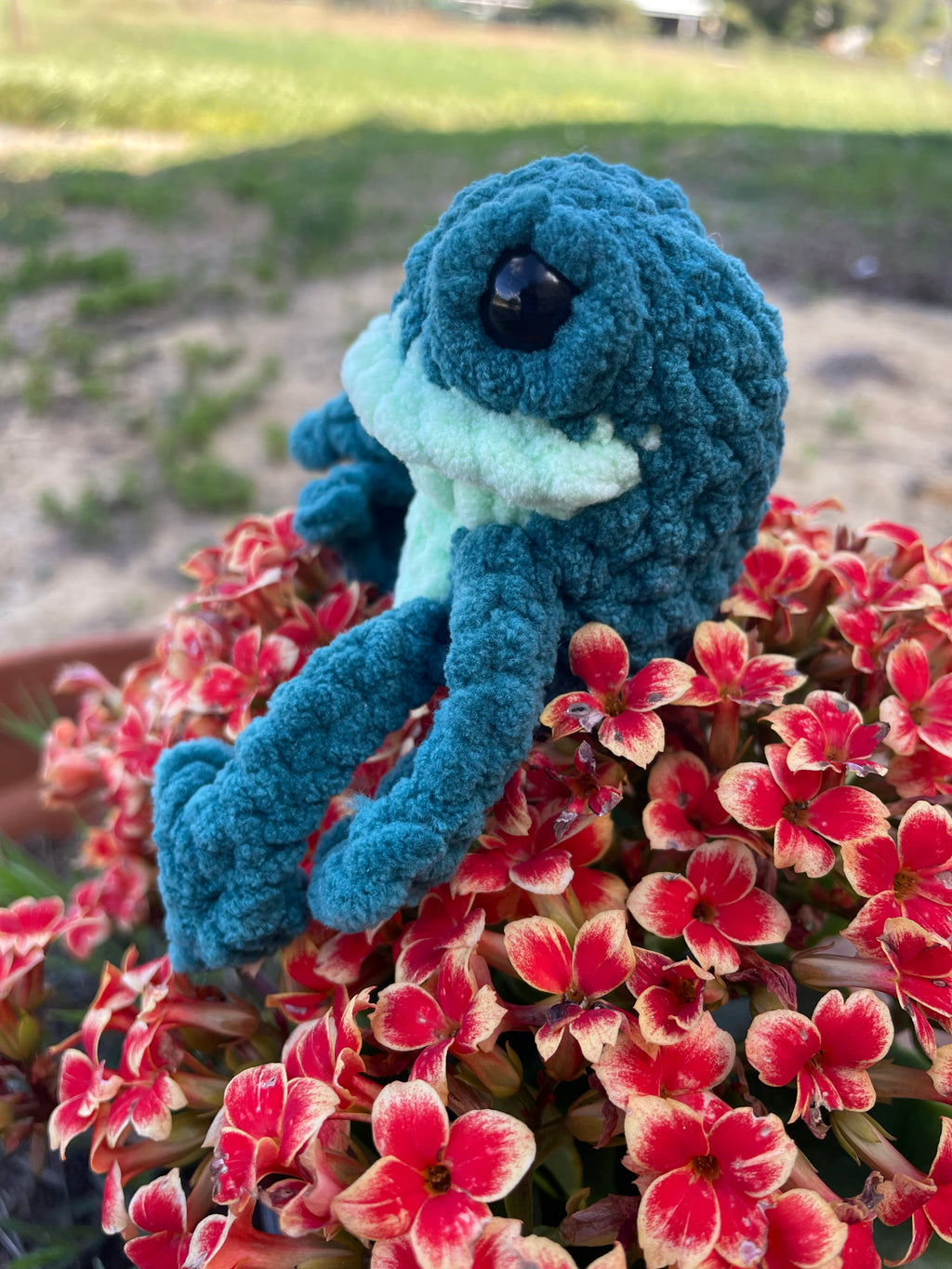 Frankie the Frog