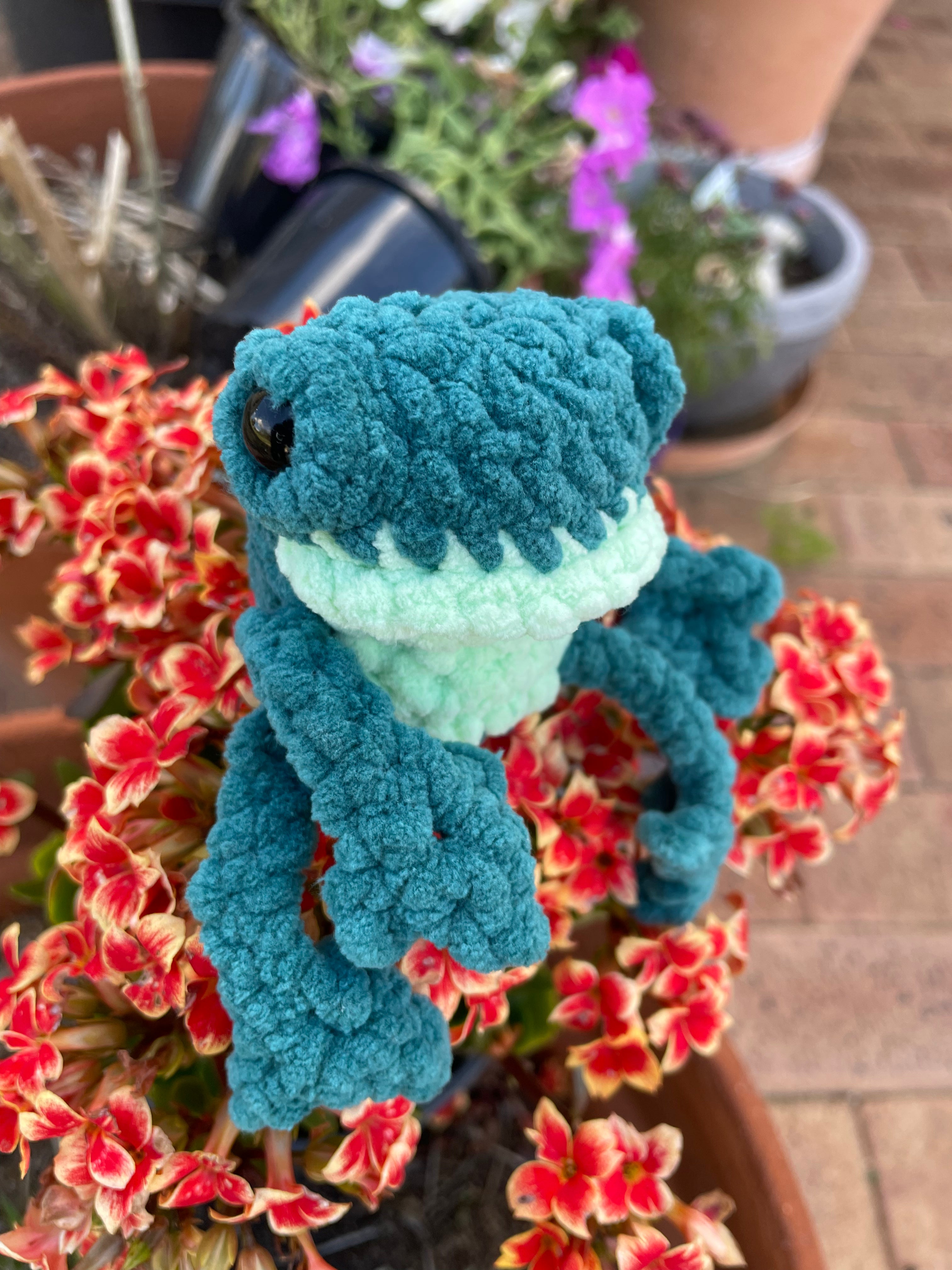Frankie the Frog