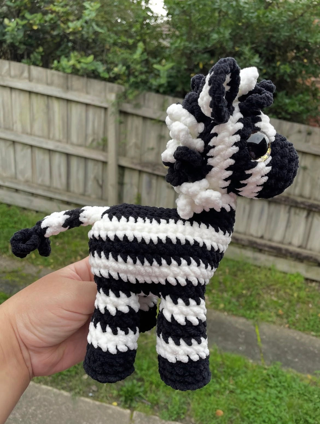 Sweet Zebra