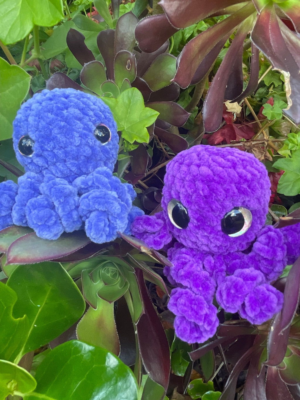 Mini Octopus