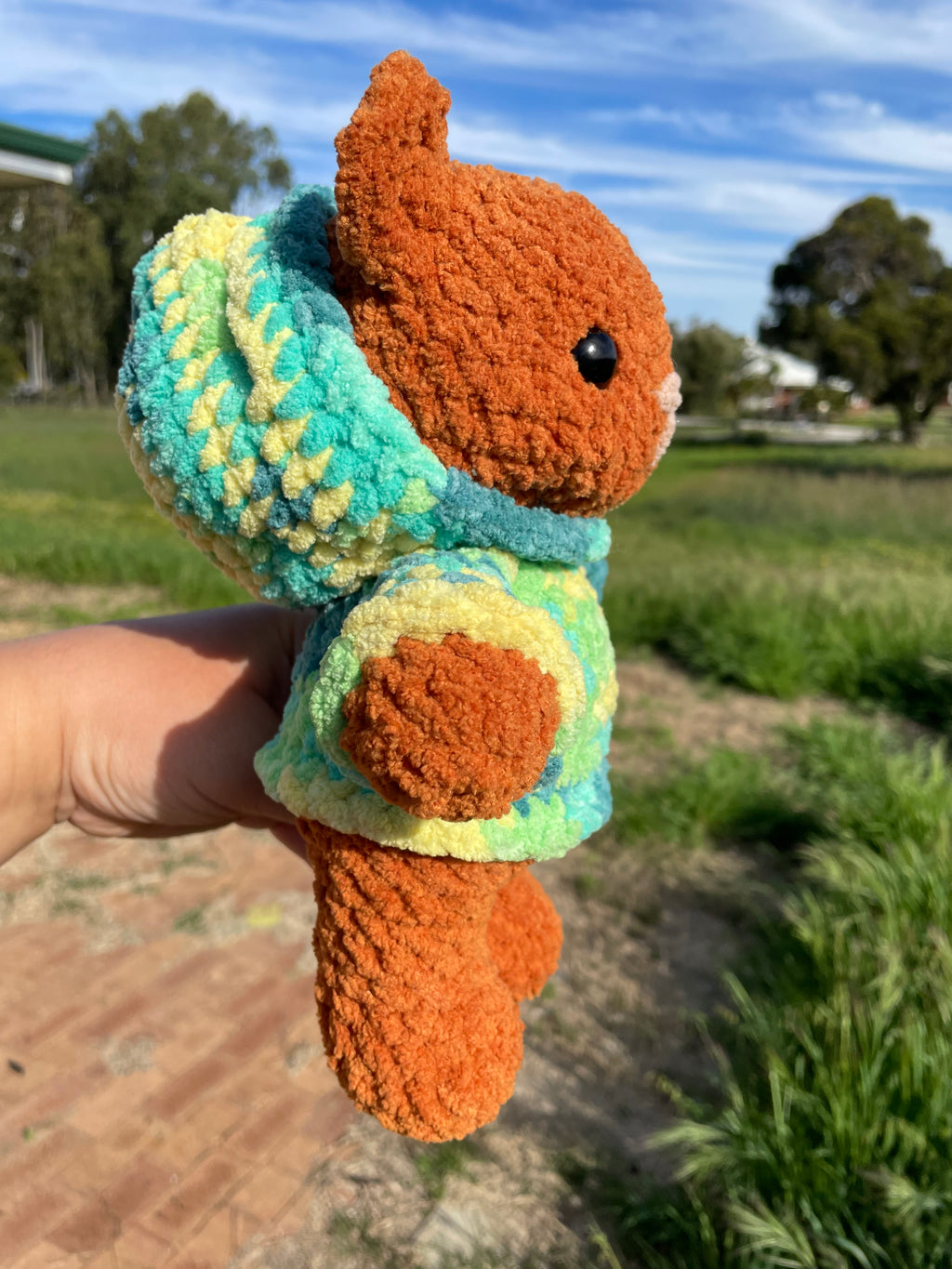 Hoodie Bear