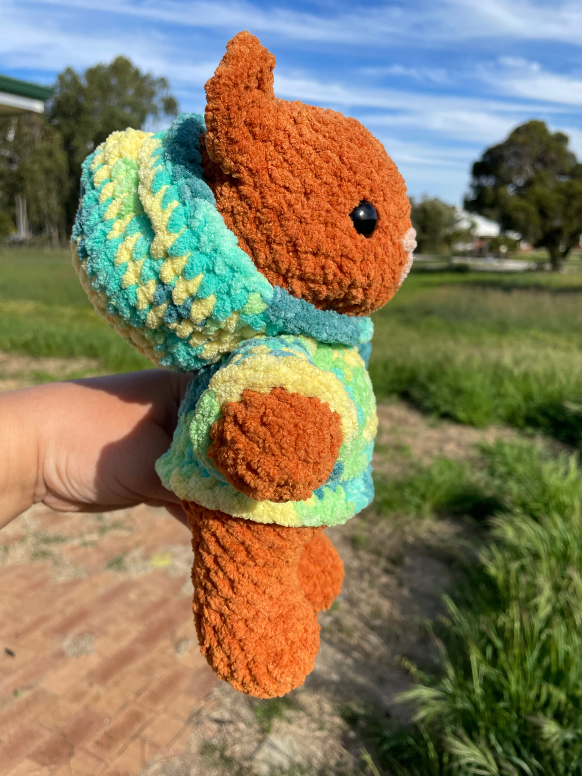 Hoodie Bear