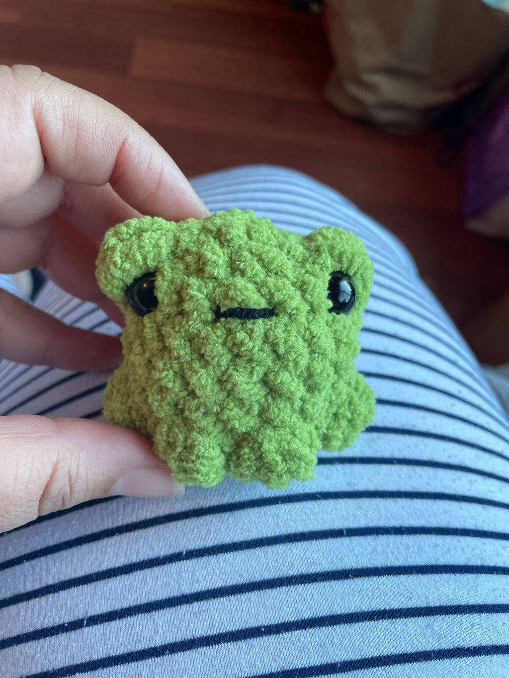 Squishy Pocket Frog