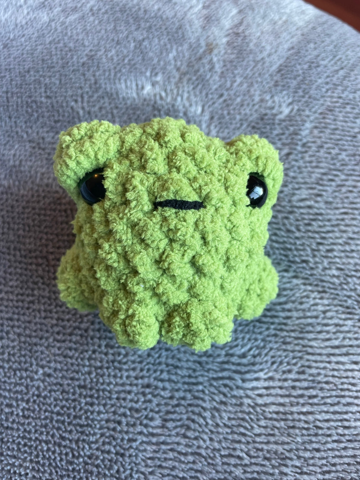 Squishy Pocket Frog