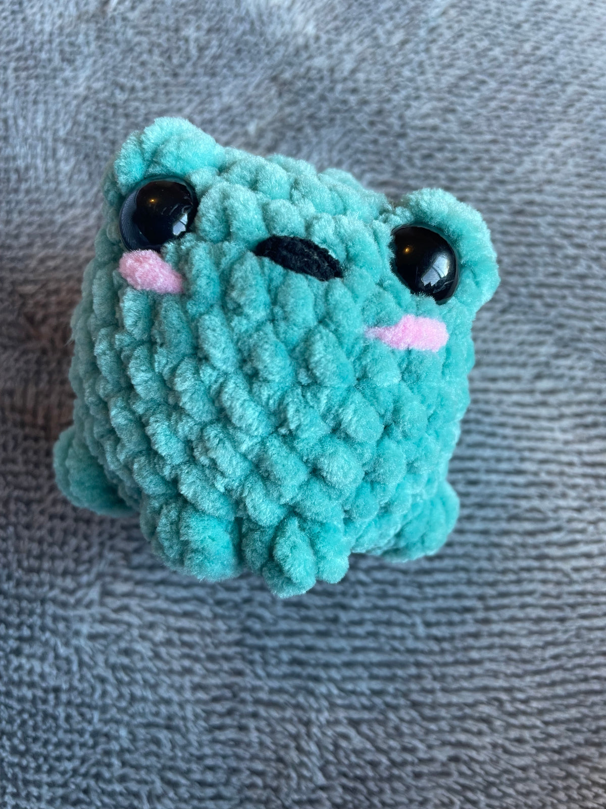 Squishy Pocket Frog