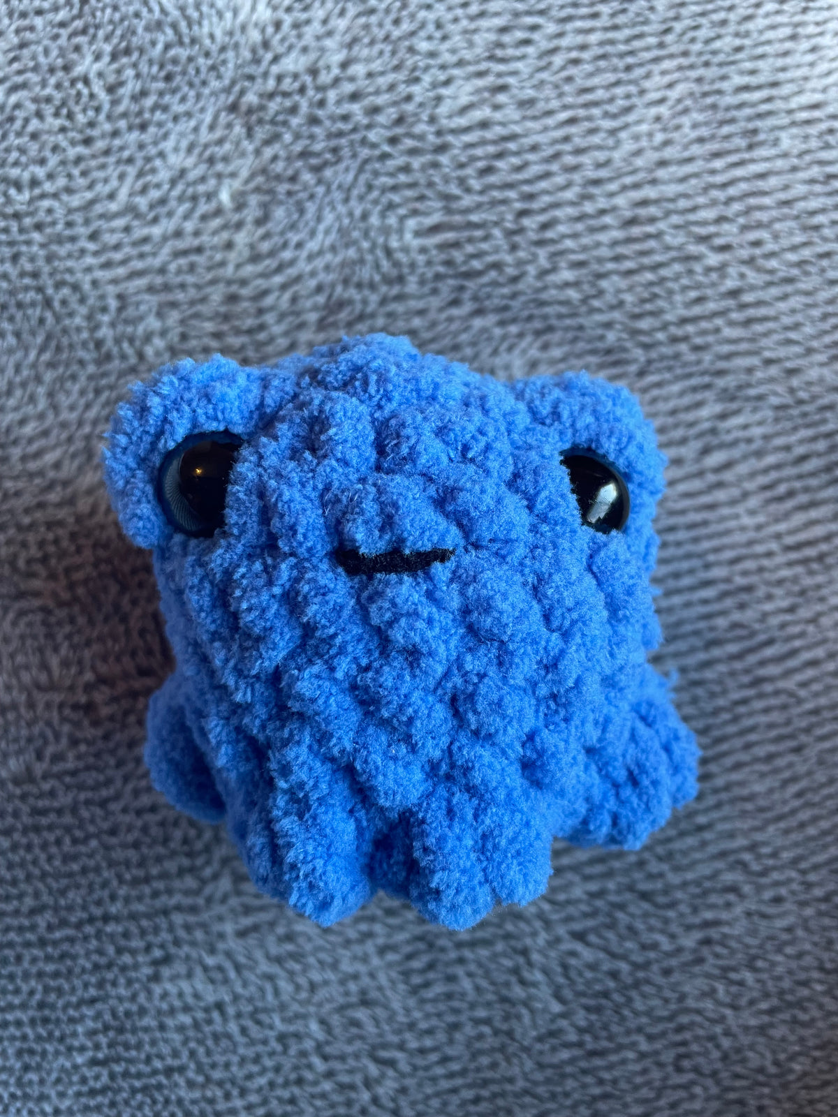 Squishy Pocket Frog