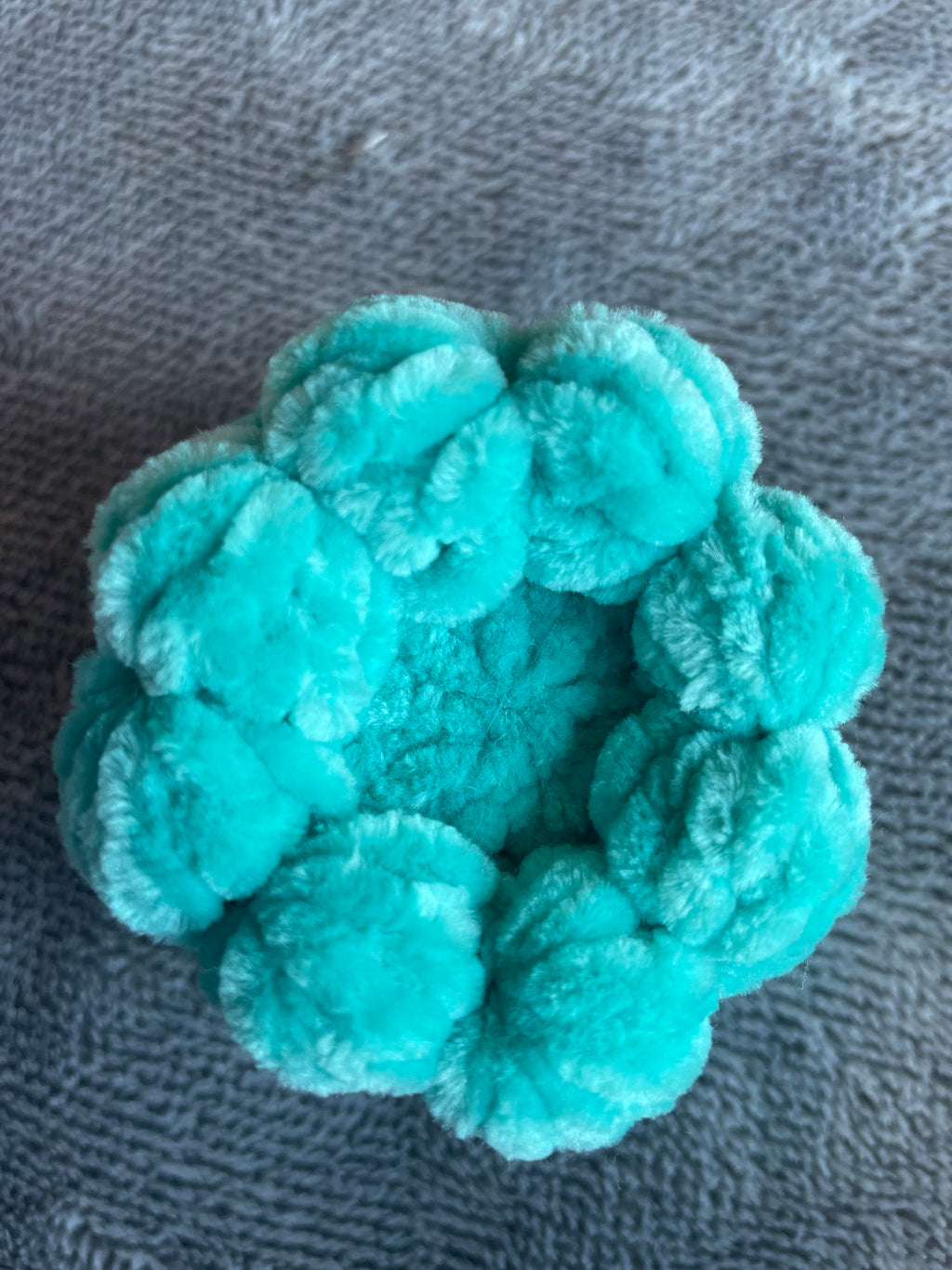 Squishy Octo