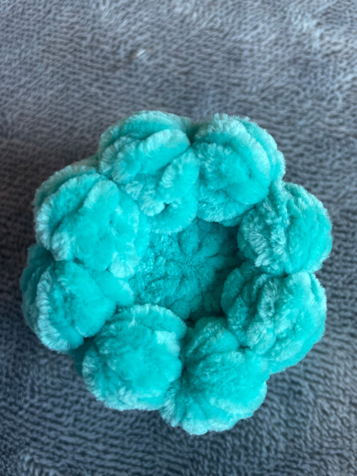 Squishy Octo