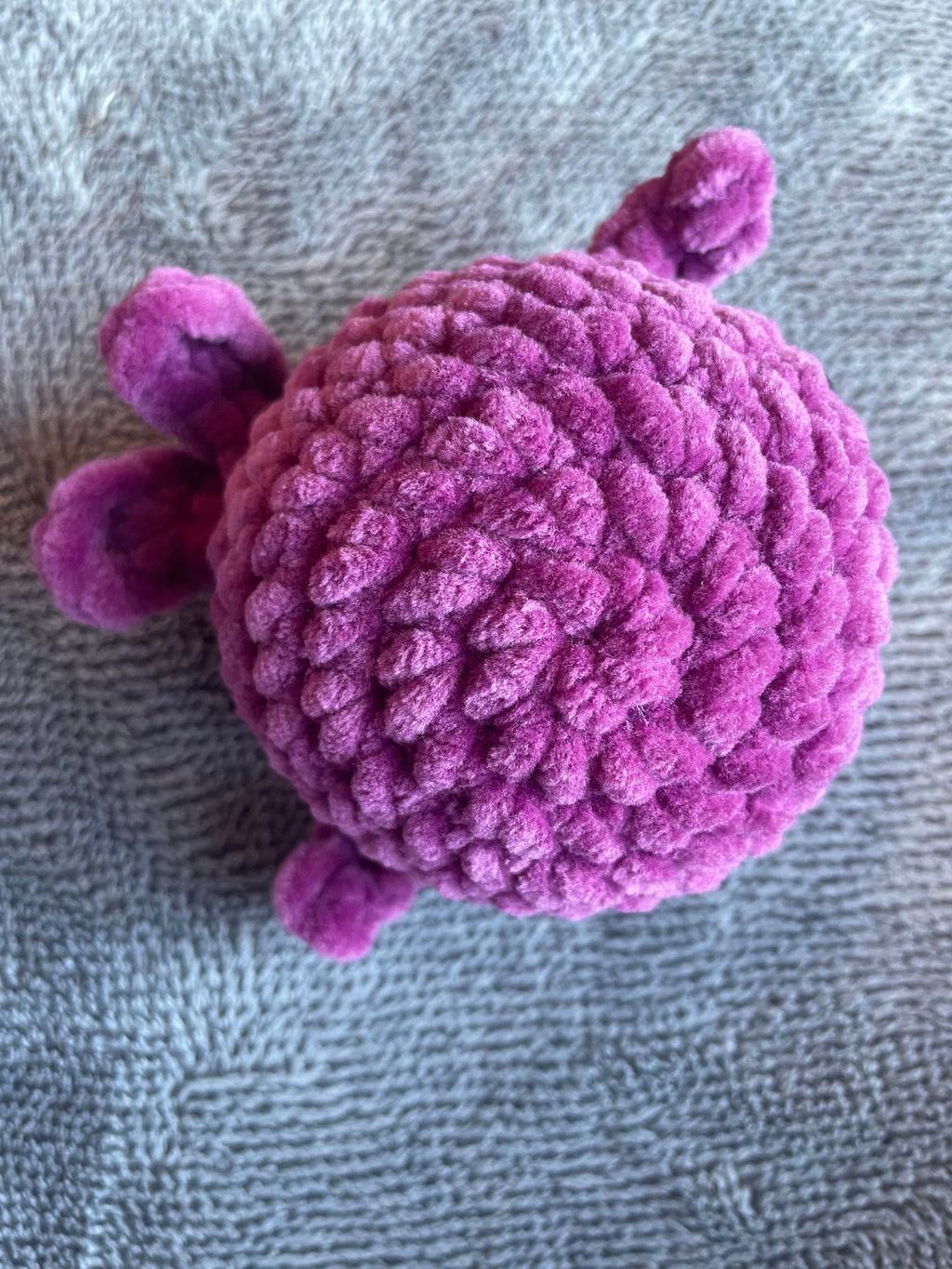 Squishy Whale