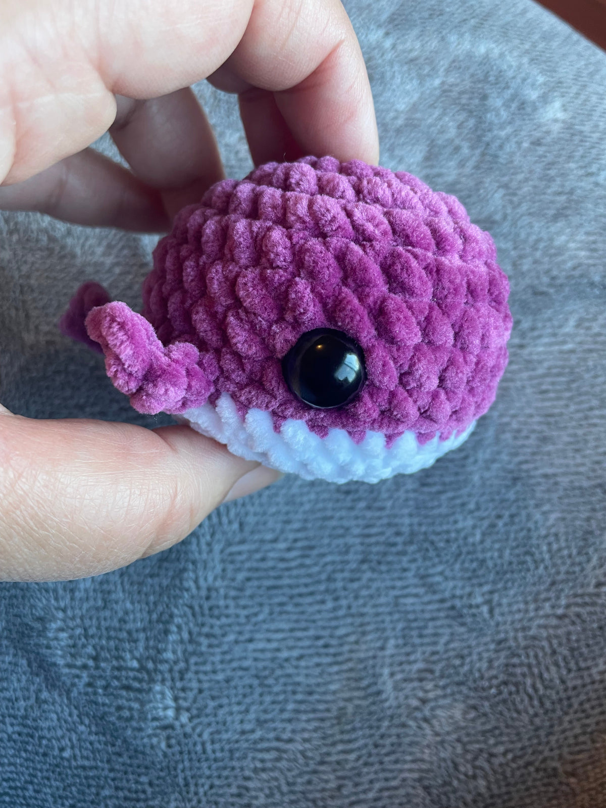 Squishy Whale