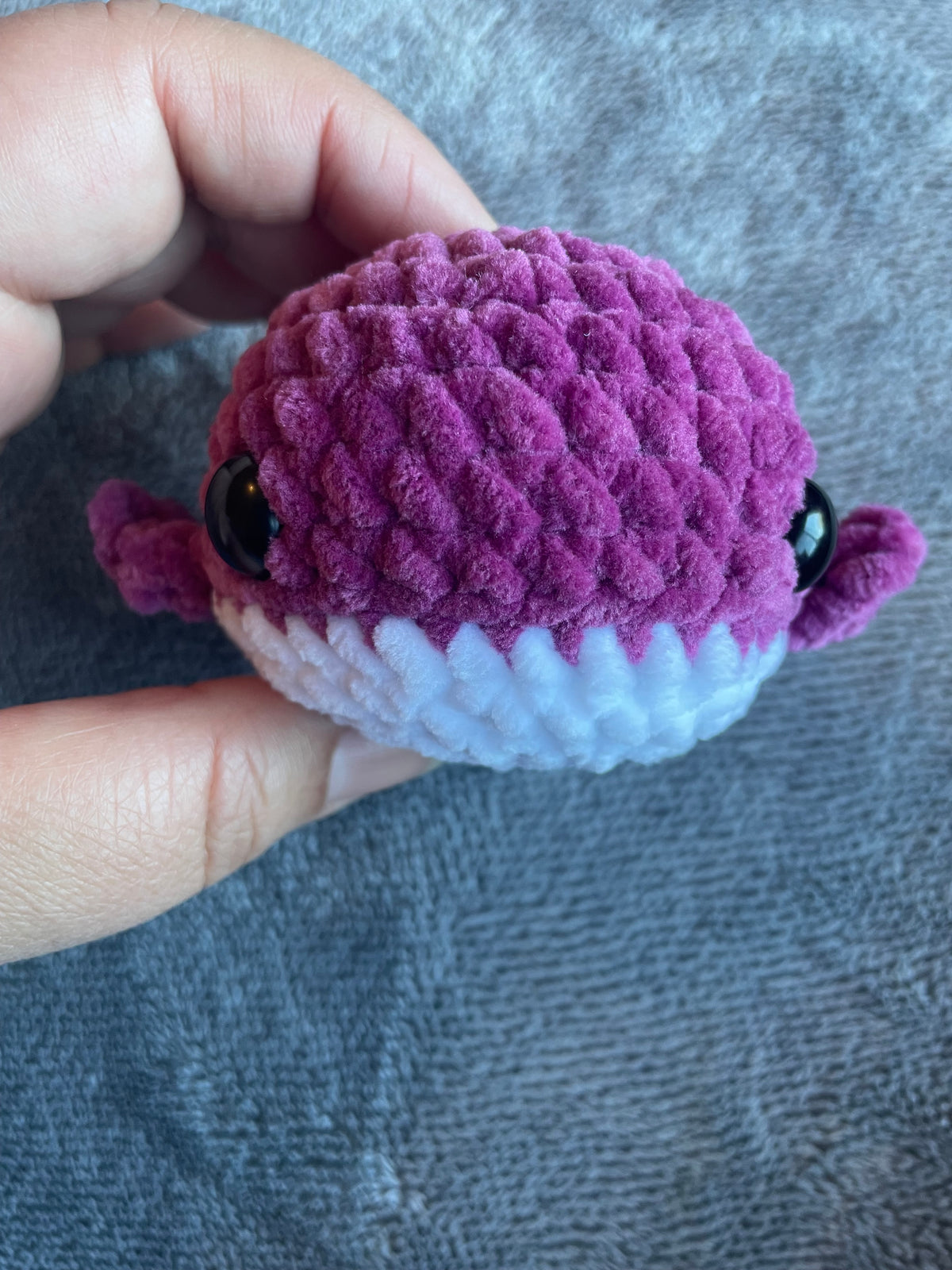 Squishy Whale