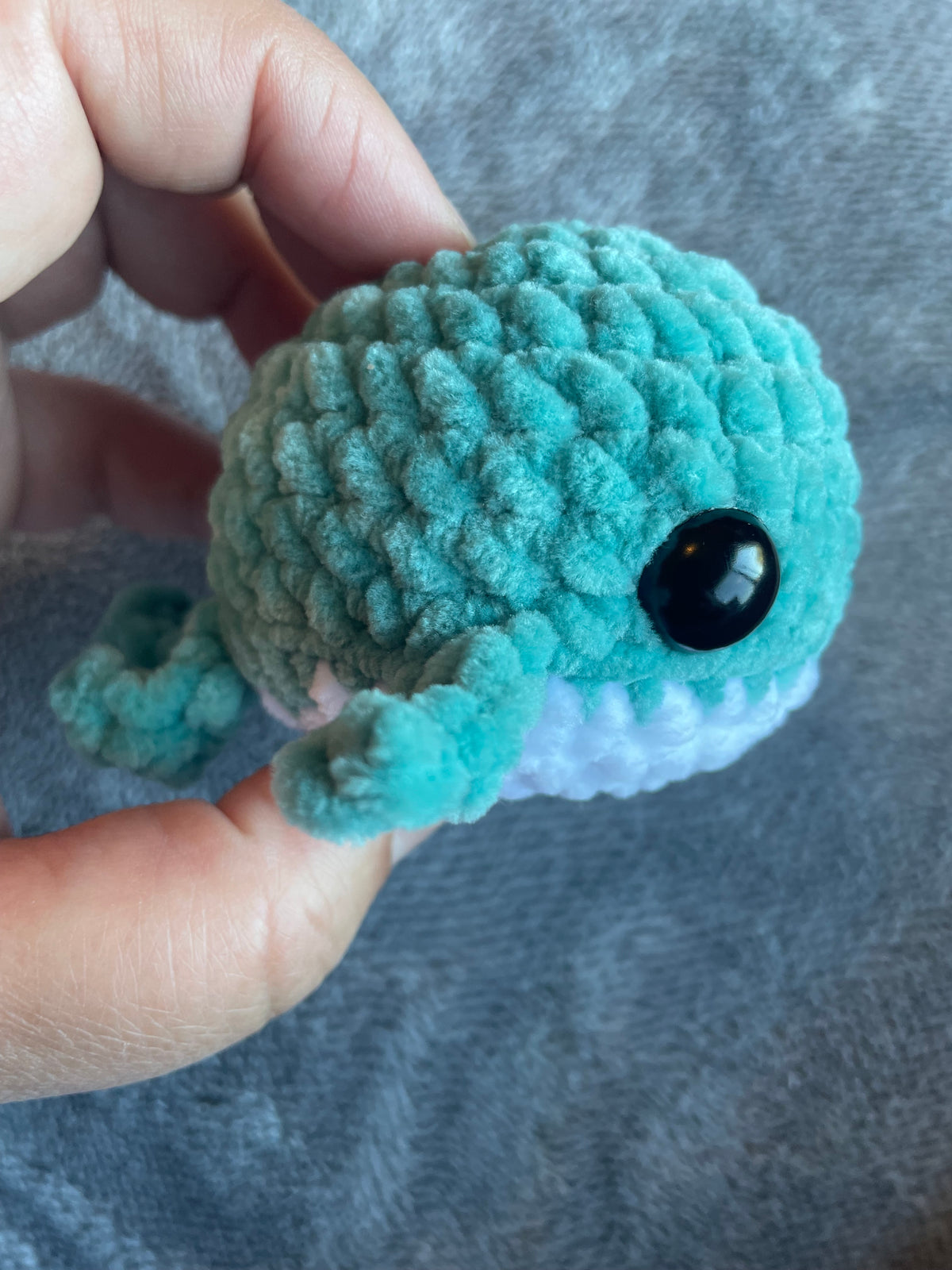 Squishy Whale