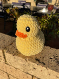 Fun Duckies