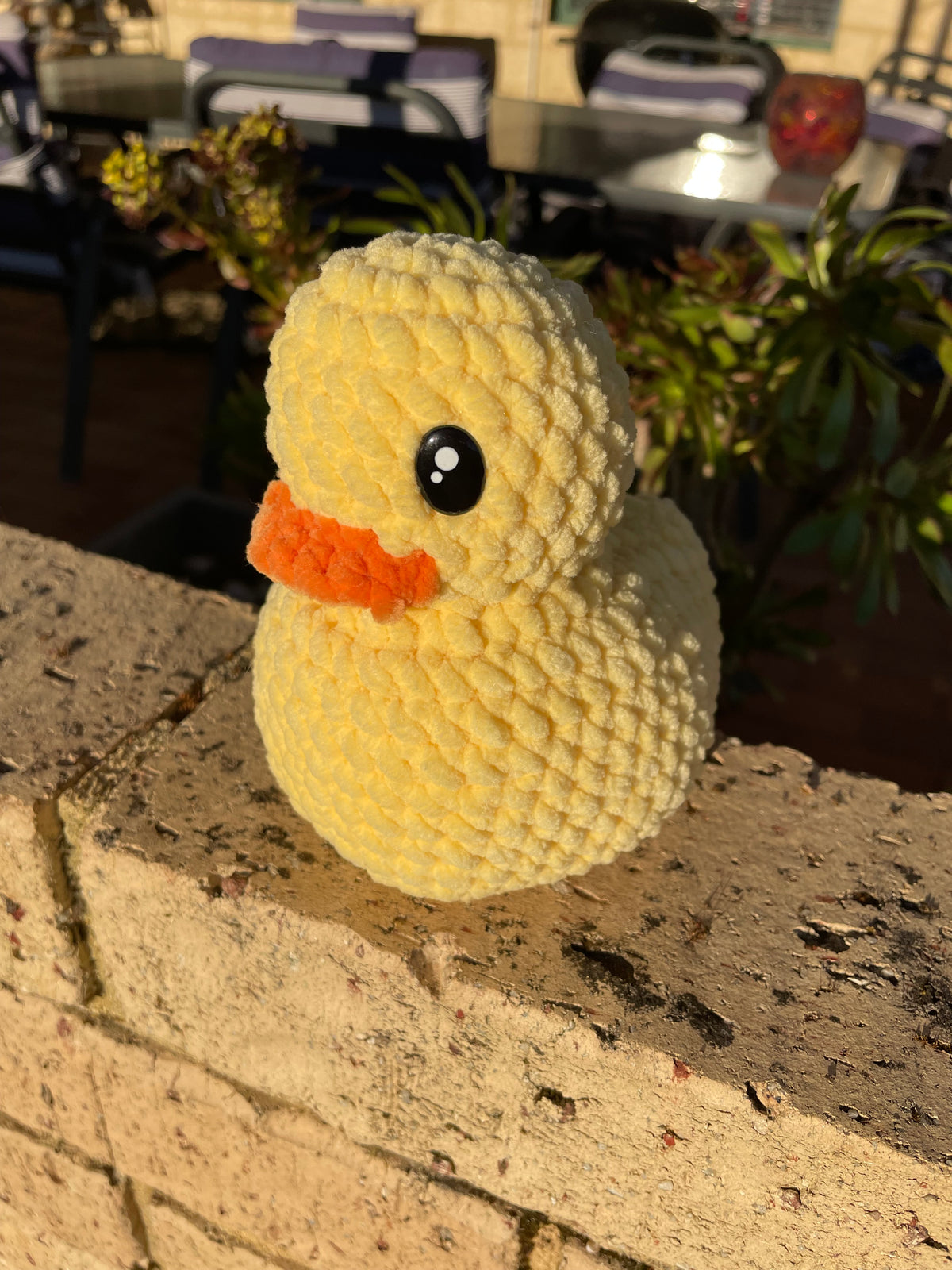 Fun Duckies