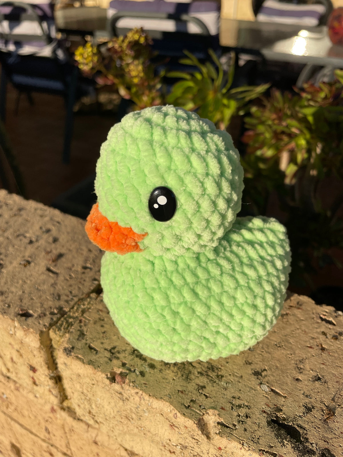Fun Duckies