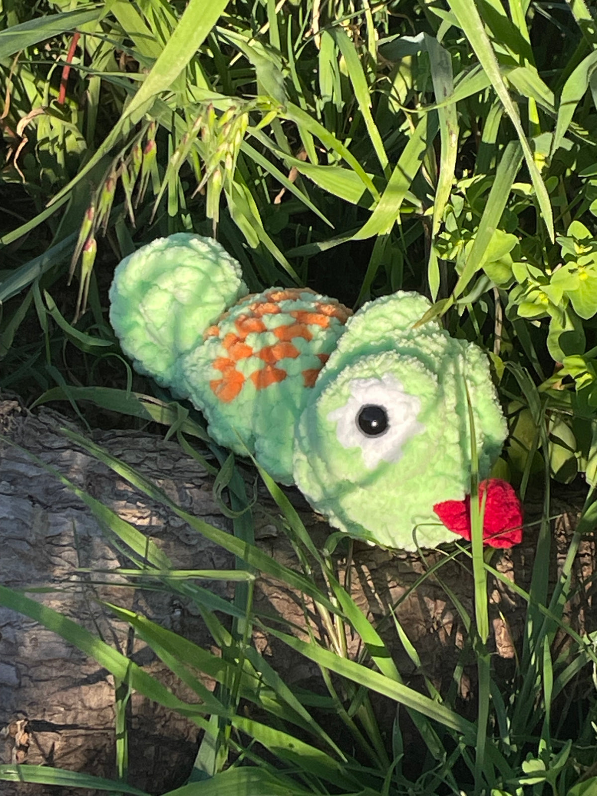 Popping Chameleon