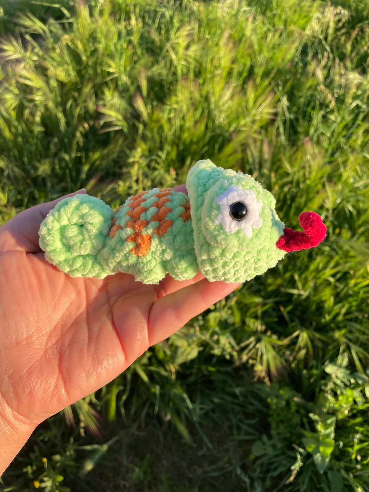 Popping Chameleon