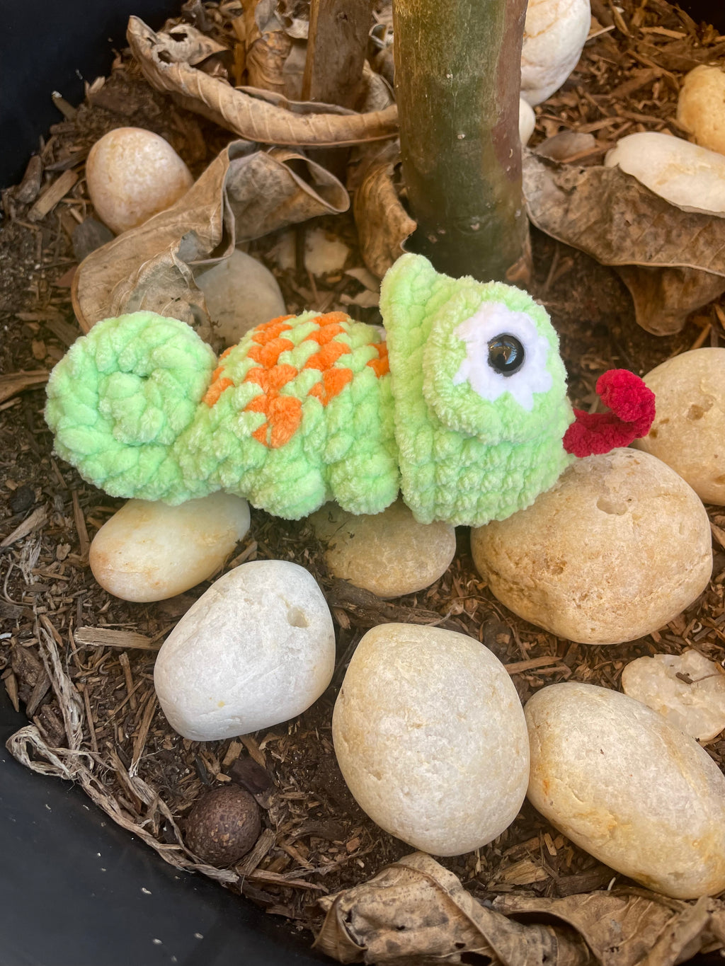 Popping Chameleon