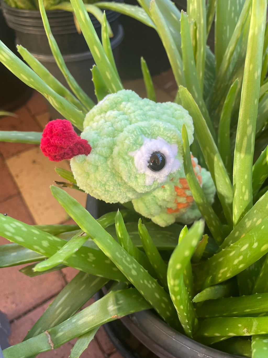Popping Chameleon