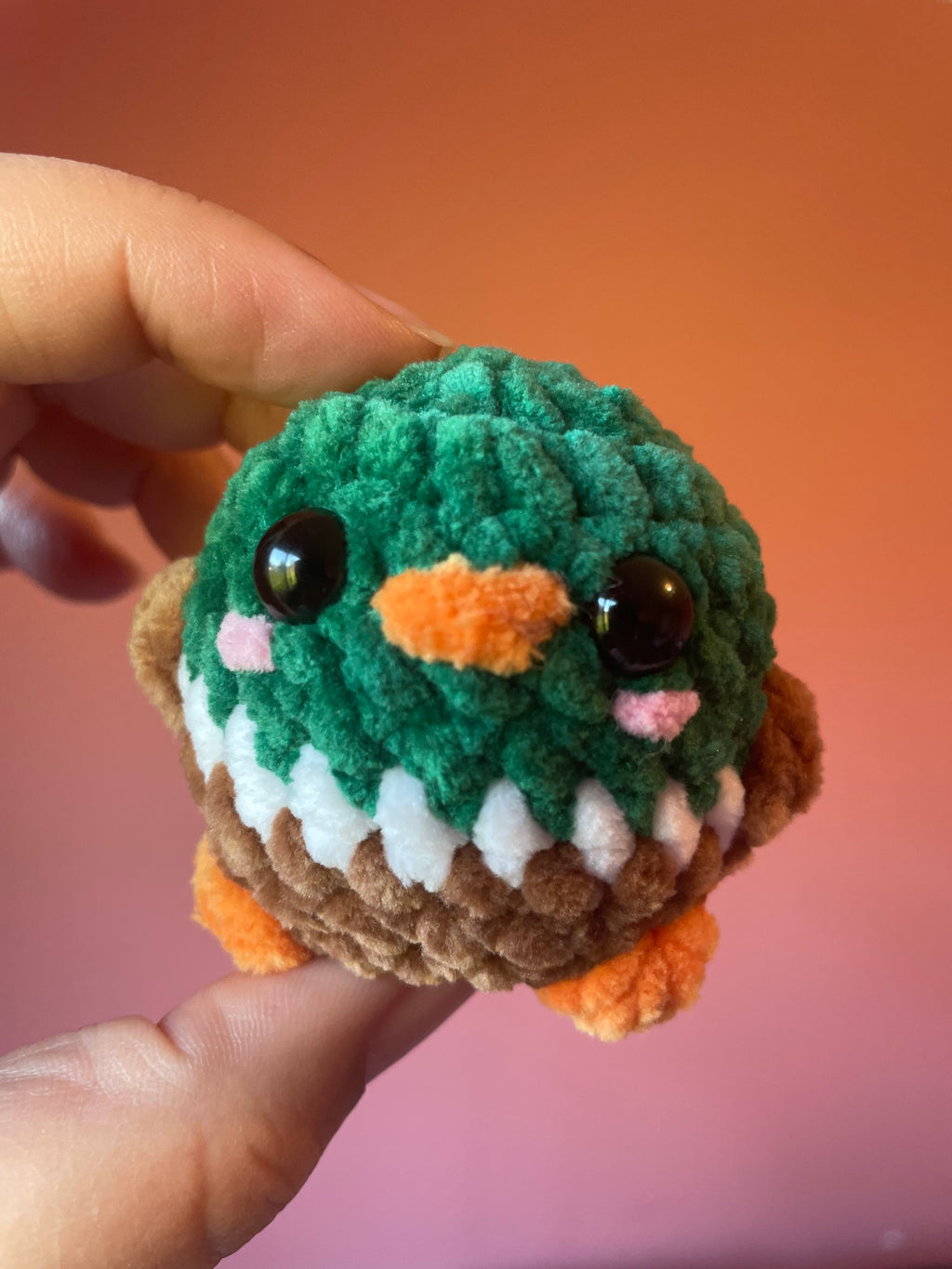 Squishy Birds
