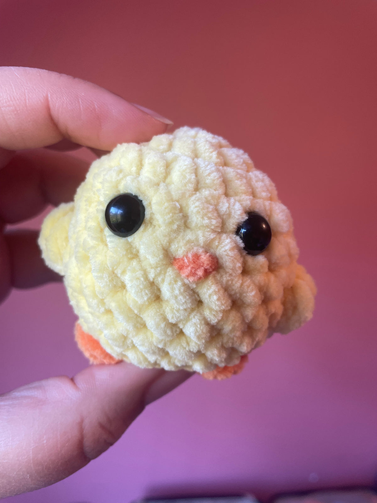 Squishy Birds