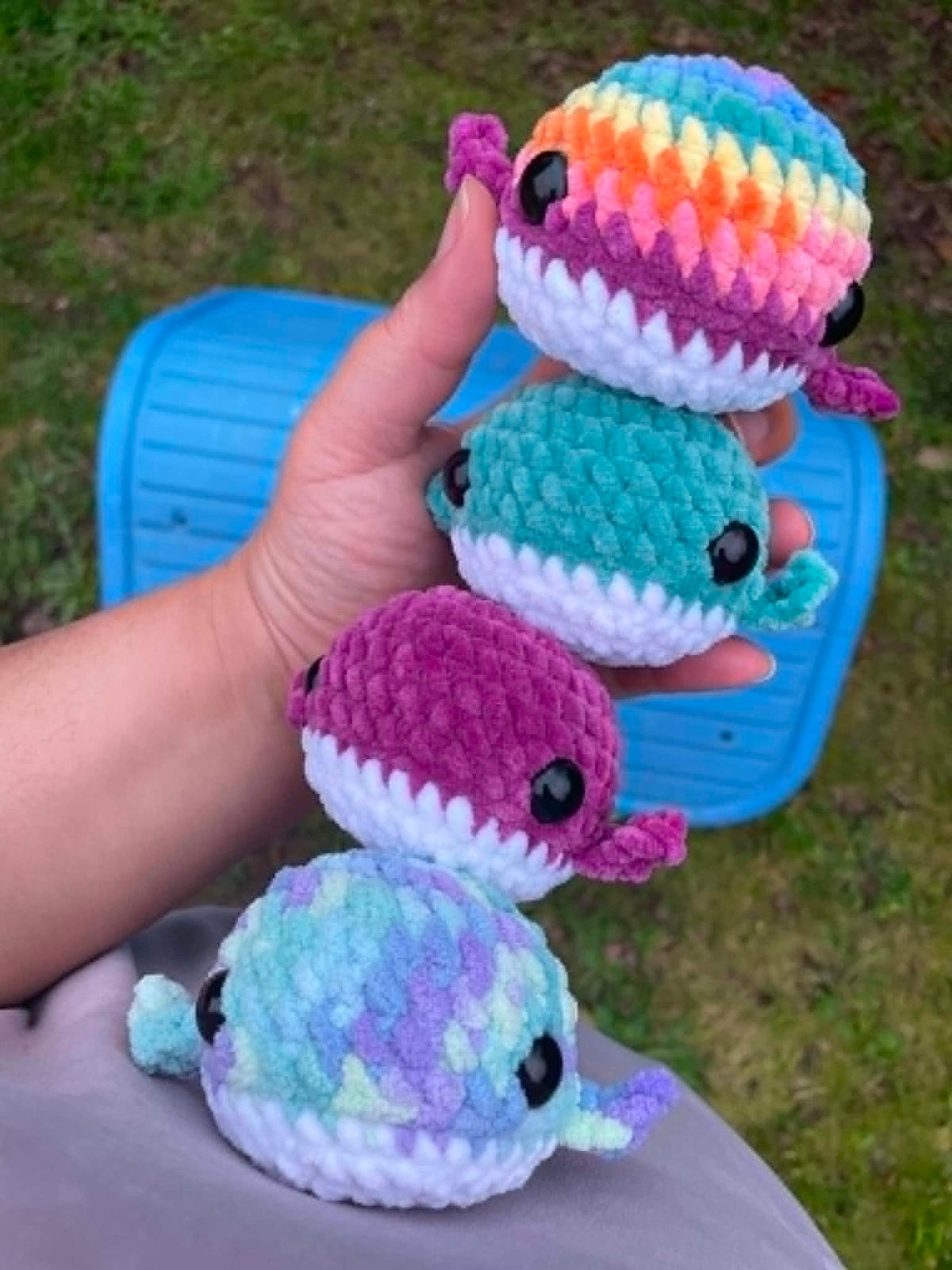 Squishy Whale
